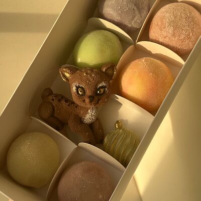 Моти 6 шт + олененокв Allowberry по цене 3468 ₽