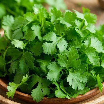 Кинза в DVOR гриль-бистро по цене 80 ₽