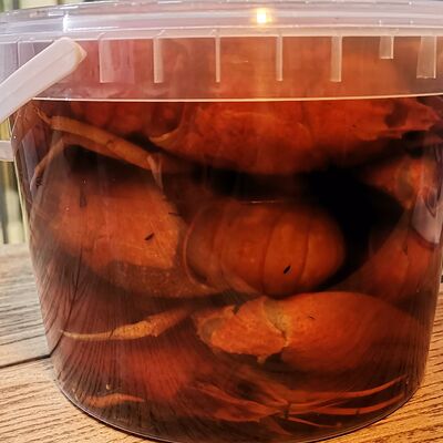 Раки вареные классические XL, 1 кг в Пивной бутик по цене 7500 ₽