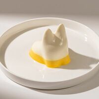 Панна-коттик Манго в Дим Кофе Скрябина