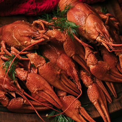 Вареный рак (крупный) в Где раки зимуют по цене 5100 ₽