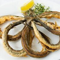 Сарган в Ракушка
