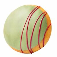 Шелл малиново-фисташковый в Krunchy Dream