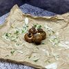Грибочки гриль в Мастер вкус по цене 250