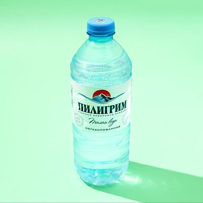 Вода без газа Пилигрим в Ихтус по цене 100