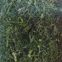 Укроп в Пончик