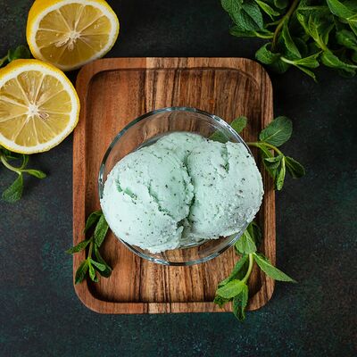 Сорбет Мята и лимон в У Палыча. С пылу, с жару! по цене 467 ₽