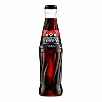 Evervess cola в Техникум