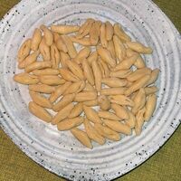 Чеченскийв Гранат