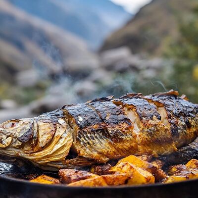 Дорадо на углях в Ковчег по цене 920 ₽