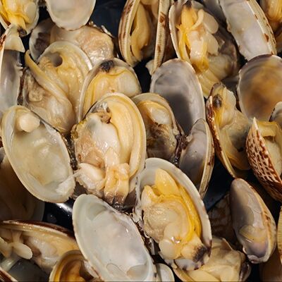 Вонголе в томатном соусе с базиликом в Мидийный рай по цене 945 ₽