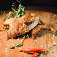 Логотип Коптилочка