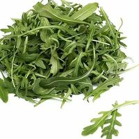 Рукола микрозелень сорт Язык Драконав Green