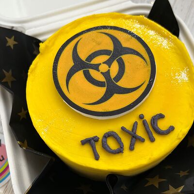 Бенто торт на День рождения - Toxic в LeFANov-CAKES.ru по цене 2000 ₽