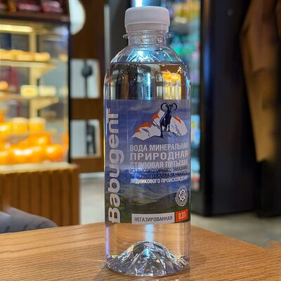 Вода негазированная Babugentв Ками cafe club по цене 77 ₽