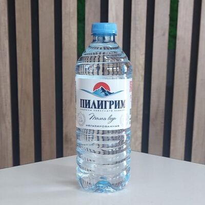 Минеральная вода Пилигрим негазированная в Мясорубка бистро по цене 65 ₽
