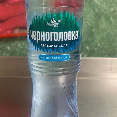 Вода питьевая Черноголовка в Шаурма у Виджая по цене 100 ₽