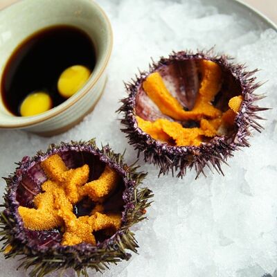 Морской ёж в Мясо & Рыба по цене 490 ₽