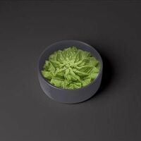 Васаби соус в СушиСтор