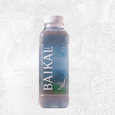 Вода Байкал без газа в Река Море по цене 300 ₽