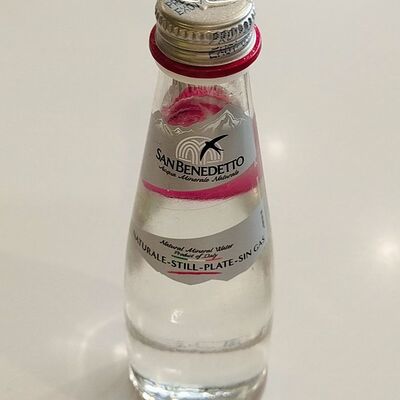 Вода San Benedetto в ИКРА БРЮТ УСТРИЦЫ по цене 475 ₽