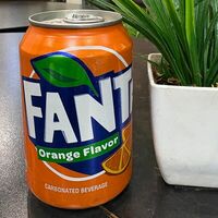 Fanta в Шашлычок-машлычок