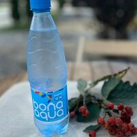 Вода BonAqua без газа в The Rex