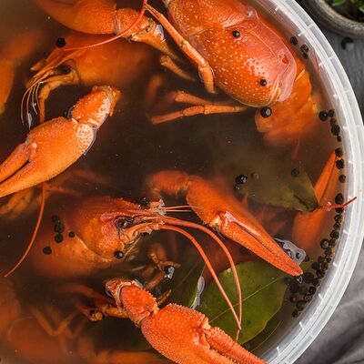 Рак премиум вареный в Раки Кусаки по цене 6440 ₽