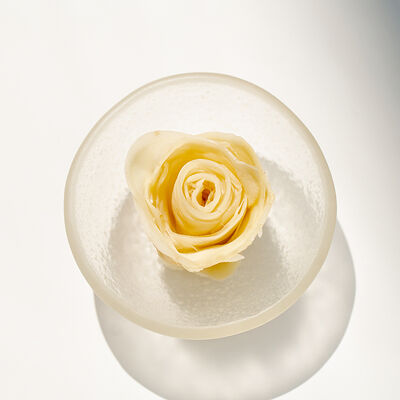 Имбирь в Under the sea по цене 70 ₽