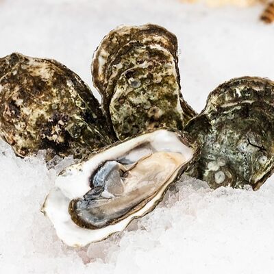 Устрица Ромаринкав Раковарня Красный рак по цене 250 ₽