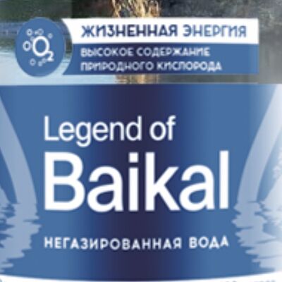 Baikal негазированный в Бистро-Ямал по цене 350 ₽