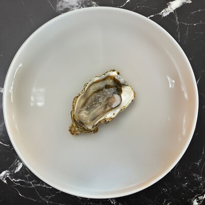 Устрица Маака в Вкусноморье по цене 490 ₽
