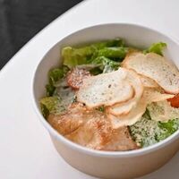 Цезарь с курицей в Библиотека