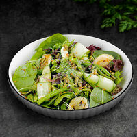 Грин салат new в Евразия-Экспресс