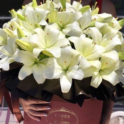 Гигант лилии в FLORISTICA по цене 9500 ₽