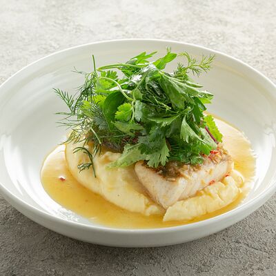 Ладожский судак с сырным пюре и миксом пряных трав в Welcome по цене 1100 ₽