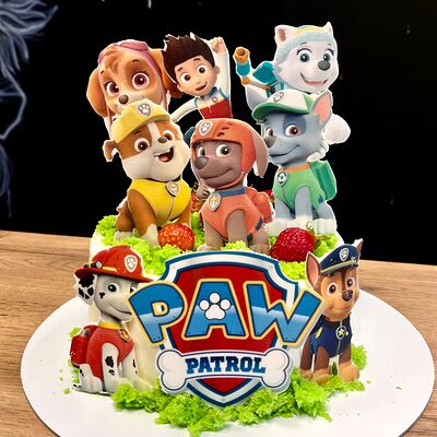 Торт Щенячий патруль в Nu Natali Cakes по цене 4950 ₽