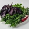 Зелень ассорти в Кафе МилАриЯ по цене 546