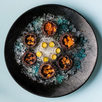 Морской еж в Терраса по цене 890 ₽