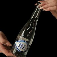 BonAqua с газом в Кафе Hayatt
