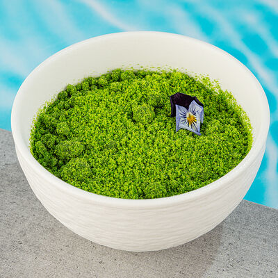 Брауни с мятной землей в Nemo по цене 540 ₽