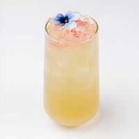 Лимонад Цитрусовый собственного производства в Бумбараш