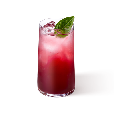 Лимонад Смородина-бузина в Здрасте по цене 630 ₽