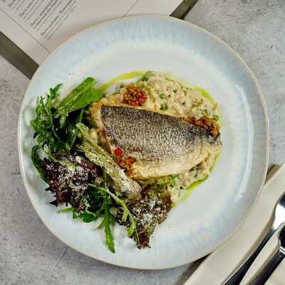 Филе дорадо и ризотто из артишоков в Gaudi по цене 1740 ₽