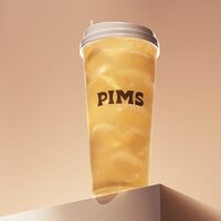 Логотип Pims