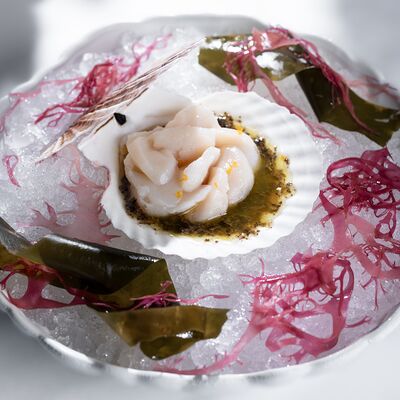 Крудо из гребешка с трюфельным понзу в МОМО по цене 2250 ₽