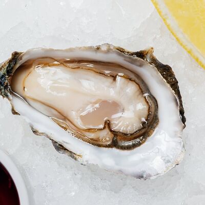 Устрица Люмьер в Nautilus по цене 575 ₽