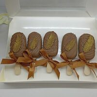 Набор чизкейков Эскимо ассорти в молочном шоколаде с перышками в Katicake