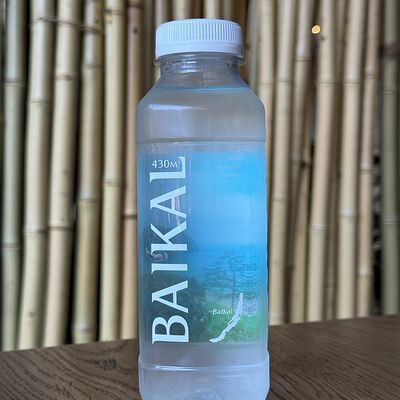 Вода Baikal 0,43 в Domo по цене 200 ₽