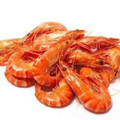 Замороженные креветки северные 200+ (Россия) в Свежая устрица по цене 932 ₽